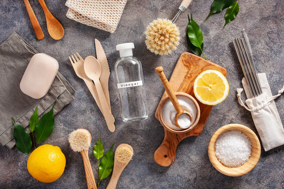 organik temizlik ürünleri